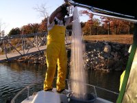 Lake Texoma Striper Fishing Photo