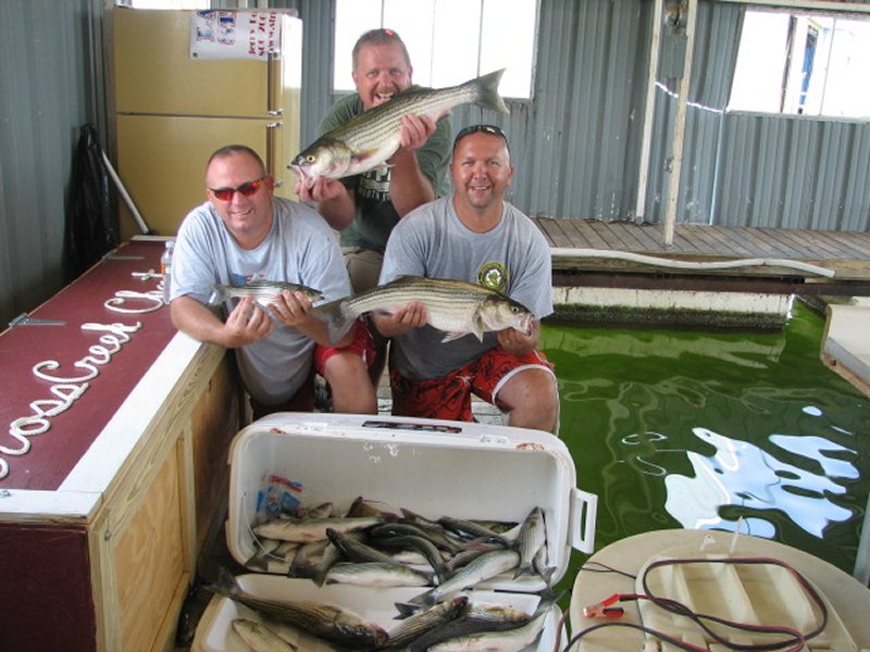 Cross Creek Striper Guide Service August 2008 fishing pictures on Lake