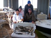 Lake Texoma Striper Fishing Photo