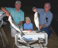 Lake Texoma striper fishing