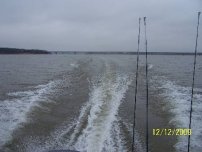 Lake Texoma Striper Fishing Photo