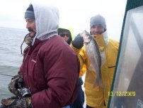 Lake Texoma Striper Fishing Photo