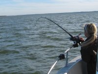 Lake Texoma Striper Fishing Photo