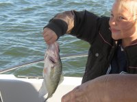 Lake Texoma Striper Fishing Photo