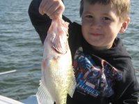 Lake Texoma Striper Fishing Photo