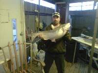 Lake Texoma Striper Fishing Photo