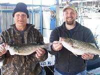 Lake Texoma Striper Fishing Photo