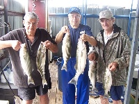 Lake Texoma Striper Fishing Photo