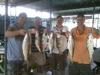 Lake Texoma Striper Fishing Photo