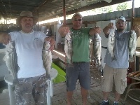 Lake Texoma Striper Fishing Photo