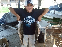 Lake Texoma Striper Fishing Photo