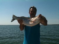 Lake Texoma Striper Fishing Photo