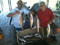 Lake Texoma Striper Fishing Photo