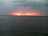 Lake Texoma Striper Fishing Photo