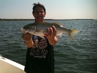 Lake Texoma Striper Fishing Photo