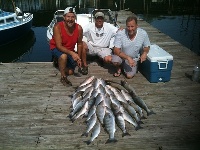 Lake Texoma Striper Fishing Photo