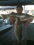 Lake Texoma Striper Fishing Photo