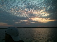 Lake Texoma Striper Fishing Photo