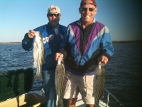 Lake Texoma Striper Fishing Photo