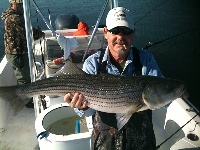 Lake Texoma Striper Fishing Photo