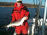 Lake Texoma Striper Fishing Photo