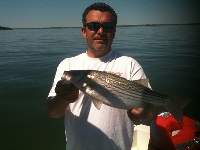 Lake Texoma Striper Fishing Photo