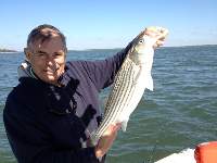 Lake Texoma Striper Fishing Photo