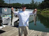 Lake Texoma Striper Fishing Photo