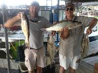 Lake Texoma Striper Fishing Photo