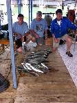 Lake Texoma Striper Fishing Photo