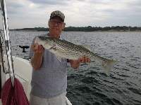 Lake Texoma Striper Fishing Photo