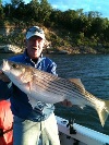 Striper Bass fishing with Cross Creek Guide Service